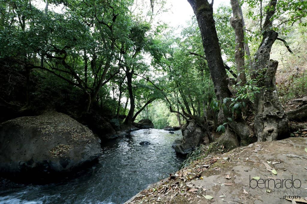 Rustic Trail Adventure