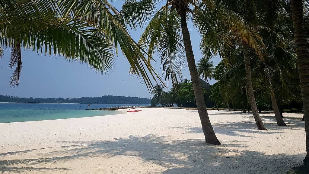 Coral Reef Snorkeling