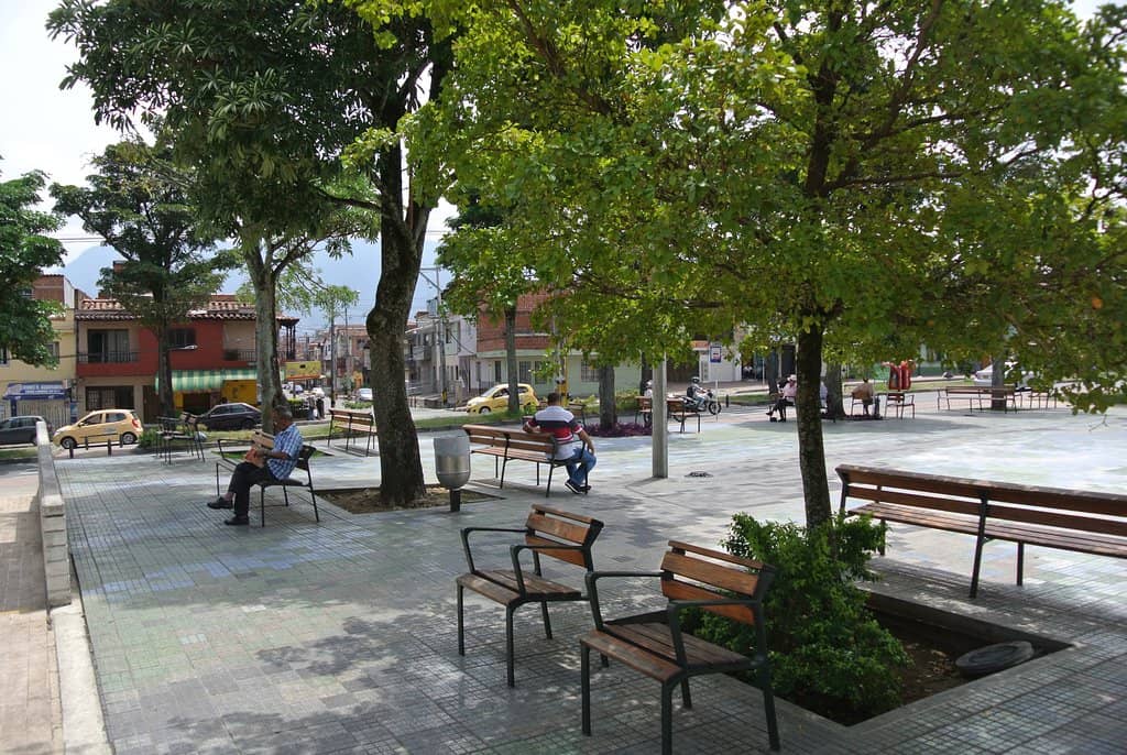 Artisan Market Delights