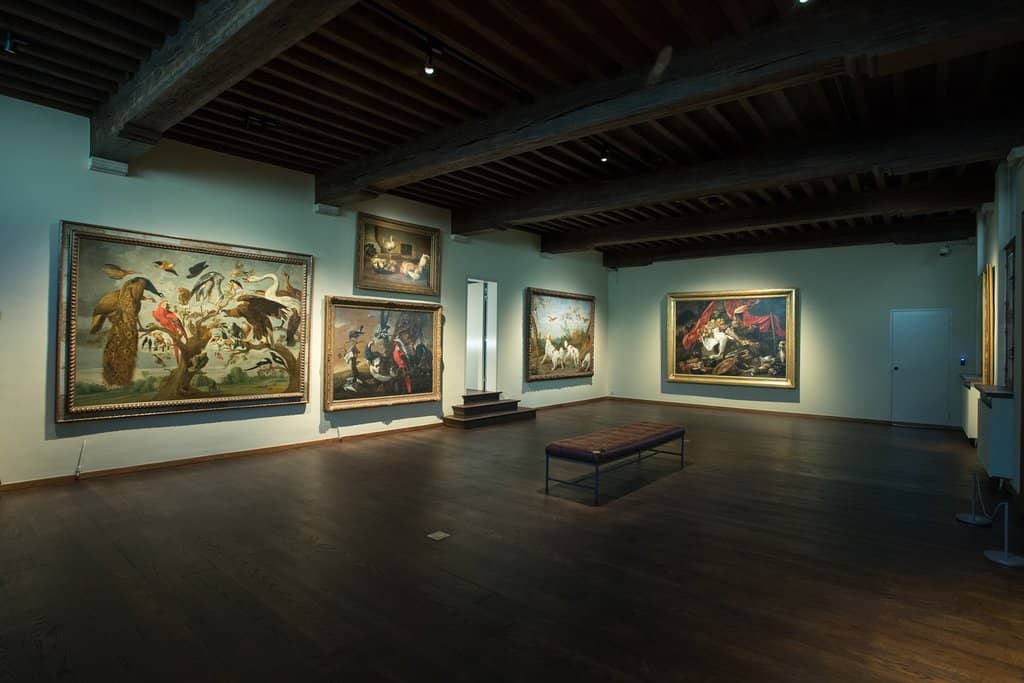 Tranquil Garden Oasis