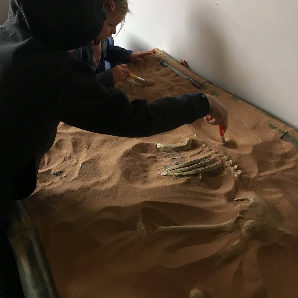 Dinosaur Toy Play Area