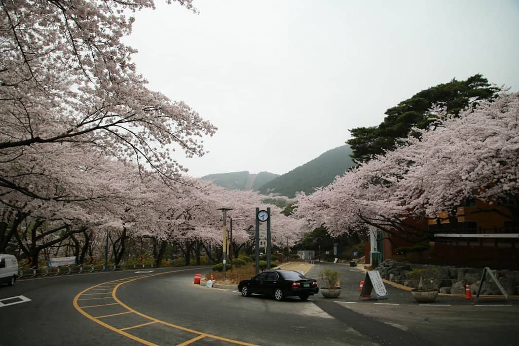 Meditation Park Walkway