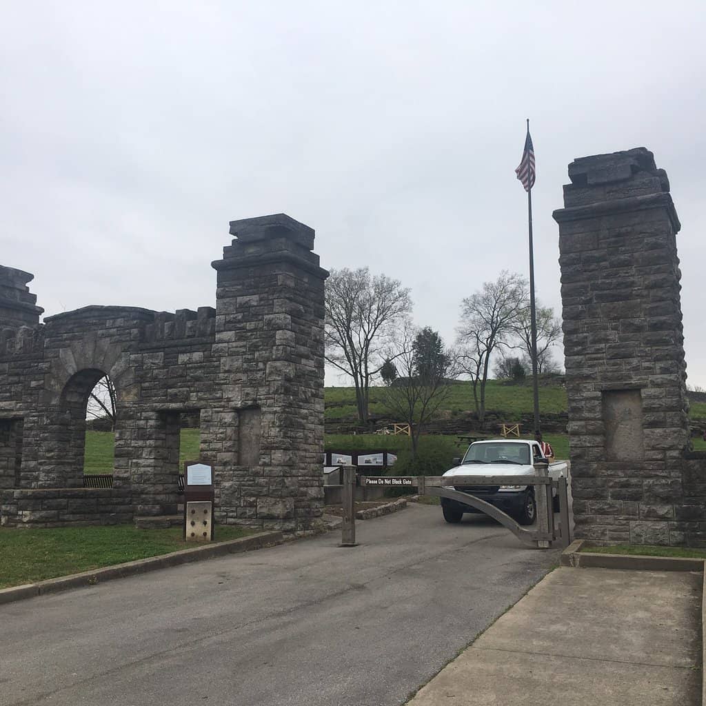 The 'Chew Crew' Sheep