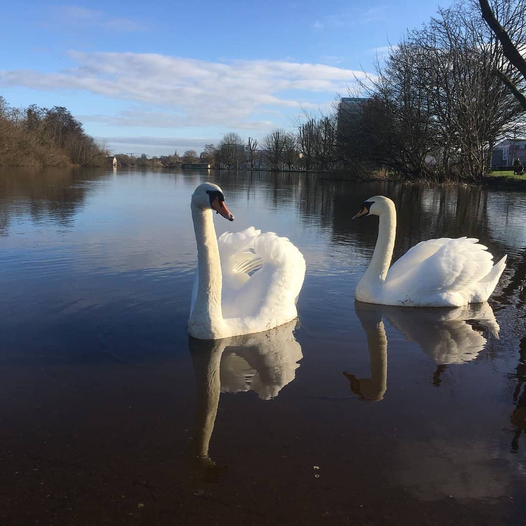 Cork Waterworks Building