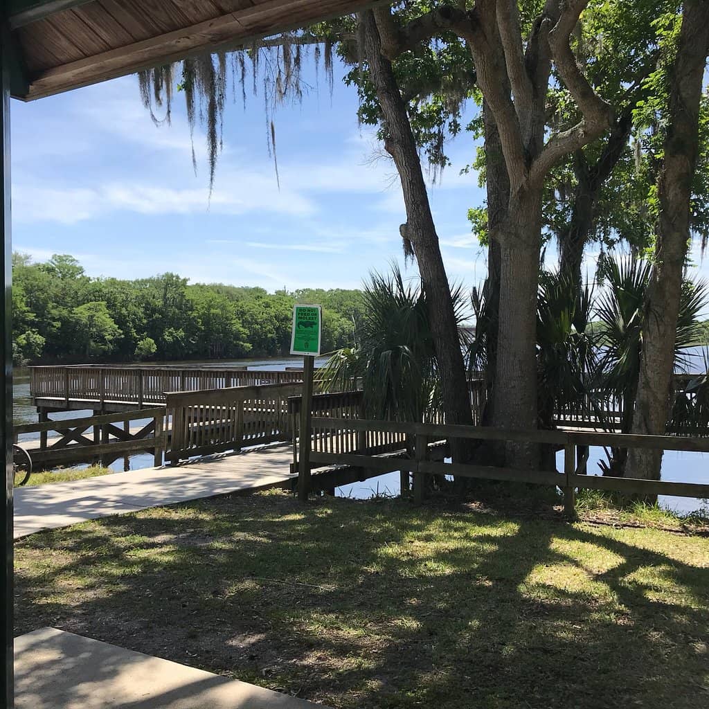 Picnic & Playground Fun