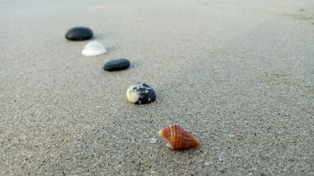 Coastal Charm & Shacks