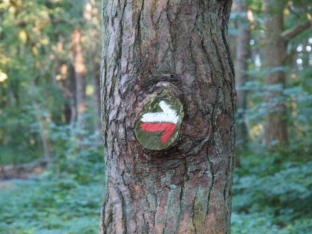 Woodland Walking Trails