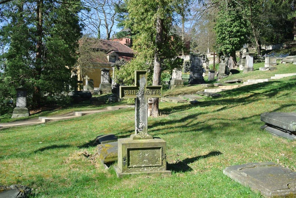 Peaceful Park Setting