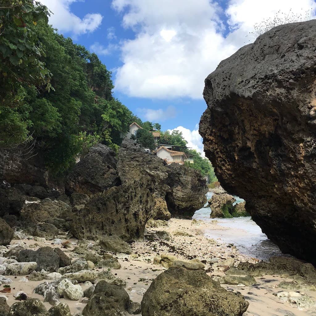 Surfing and Wave Watching