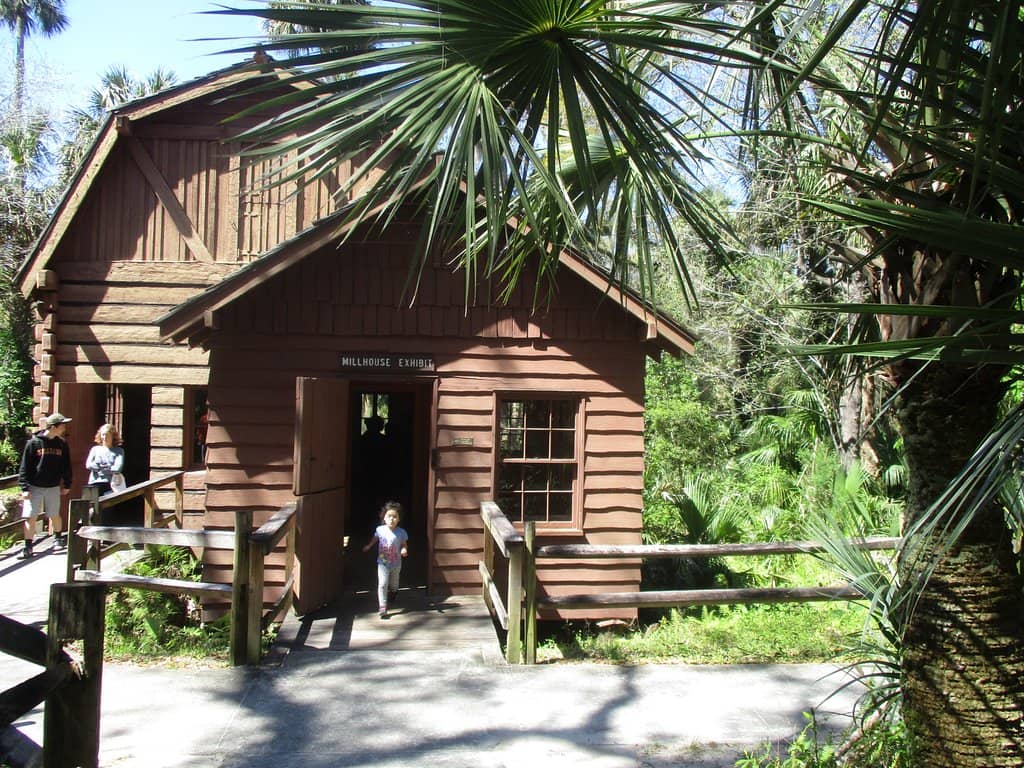 Alexander Springs