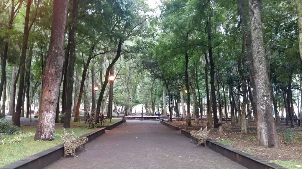 Children's Play Area