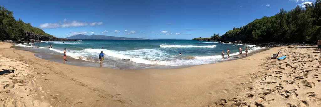 Abundant Marine Life