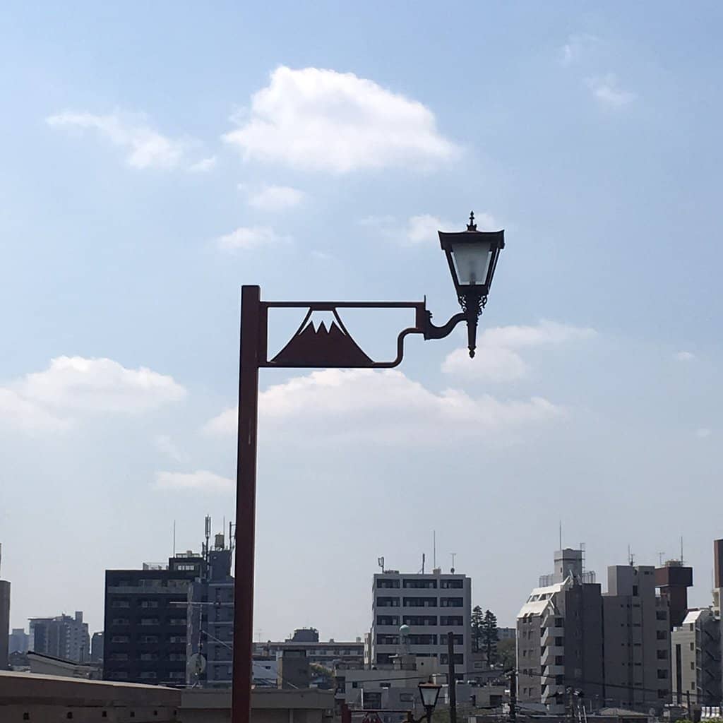 Tranquil Walking Paths