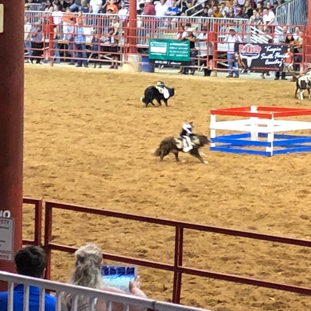 Family Fun Atmosphere