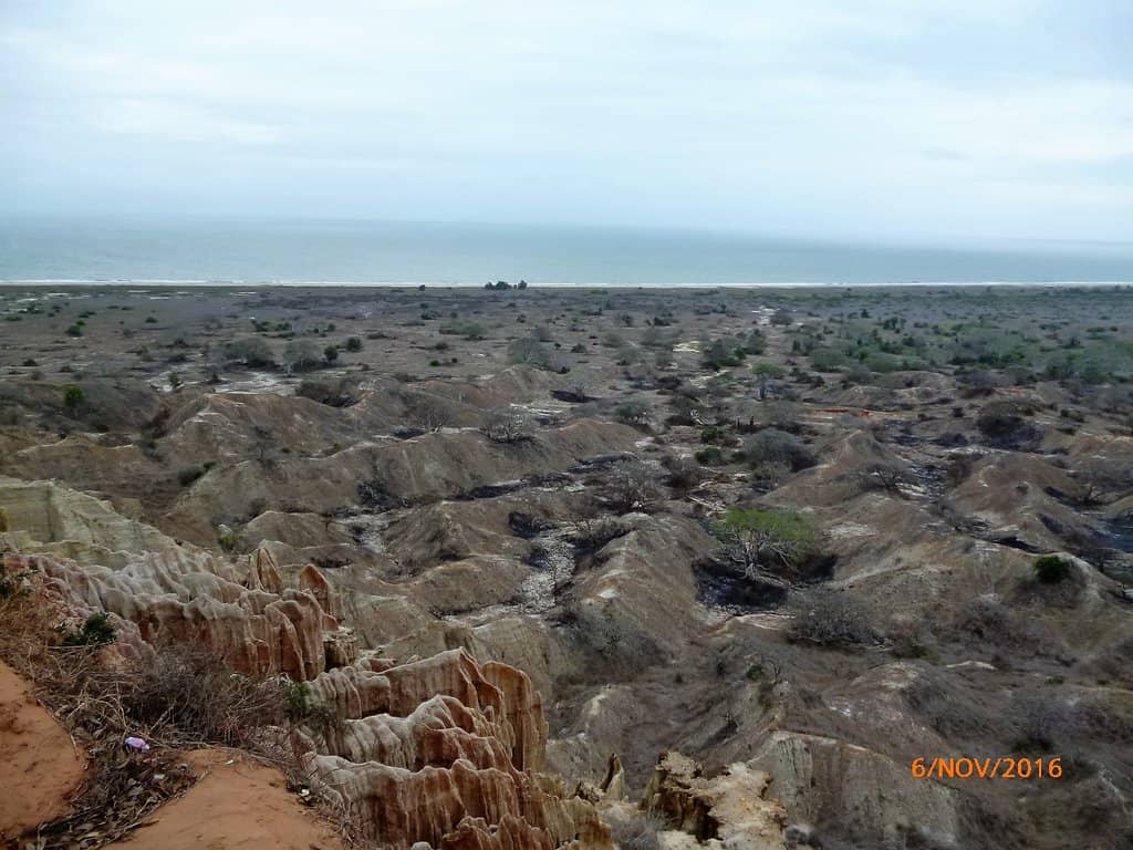 Panoramic Coastal Scenery