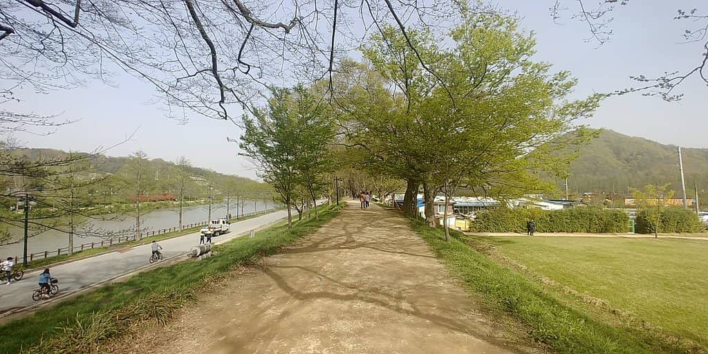 Bamboo Festival Preparations