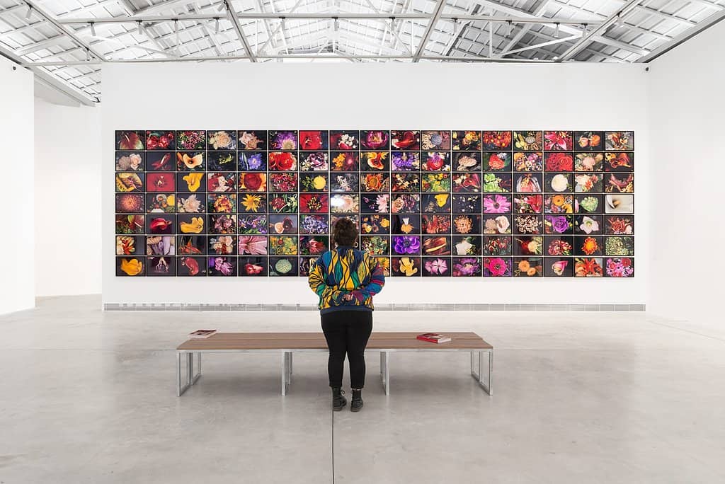 Salvador Dalí VR Experience