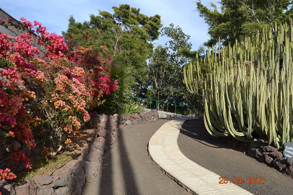 Aloe Product Showcase