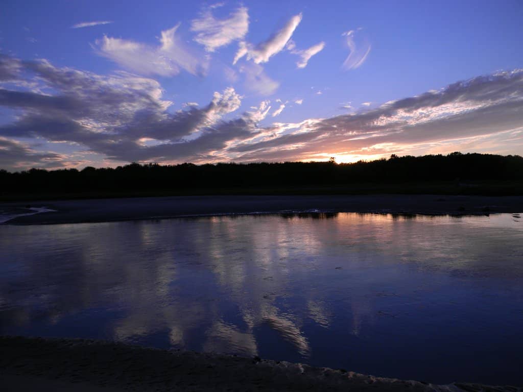 Salt Marsh Ecosystem
