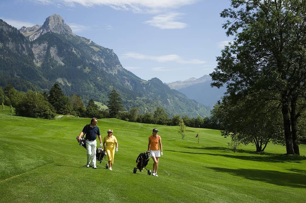 Panoramic Mountain Scenery