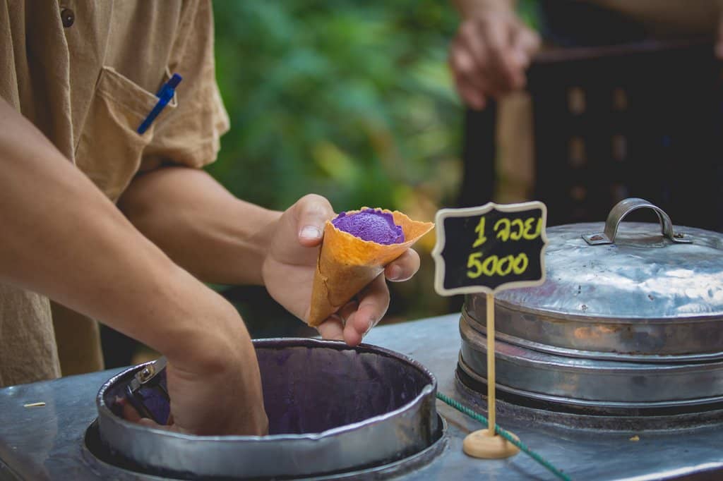 Peaceful Green Garden