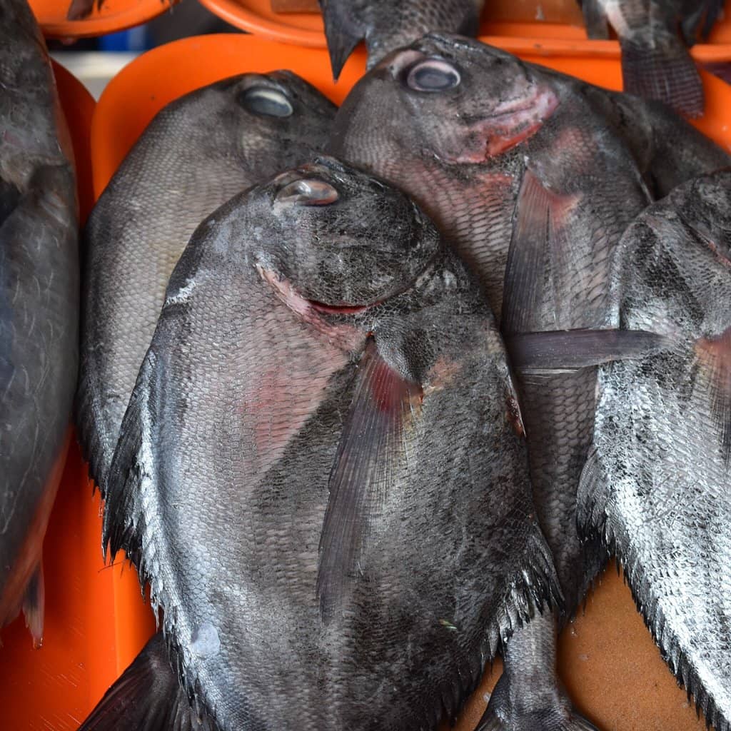 Beachfront Relaxation