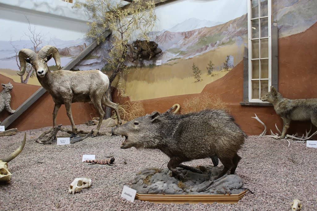 Medieval Weaponry & Archaeology