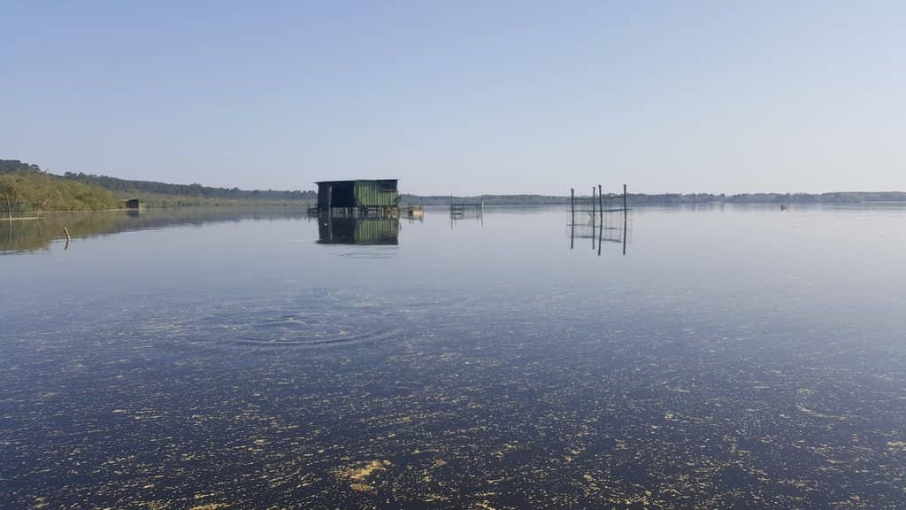 Courant d'Huchet Canoeing