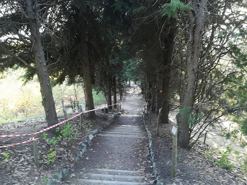 Panoramic City Views