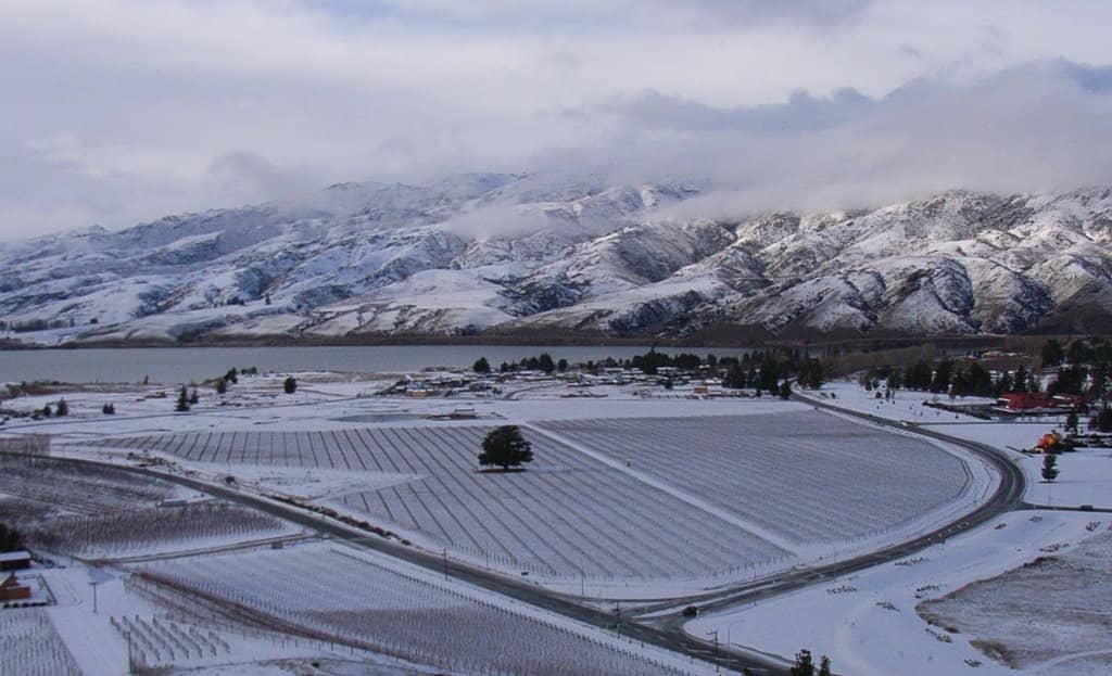 Stunning Cellar Door Venue