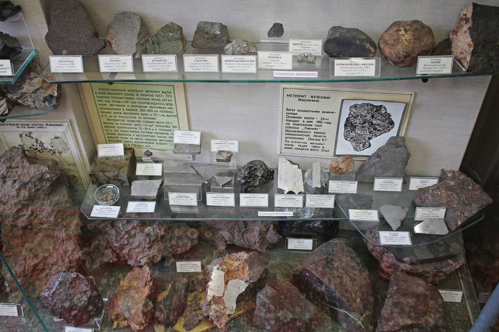 Fossilized Marine Life