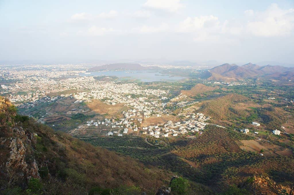 Diverse Deer Species