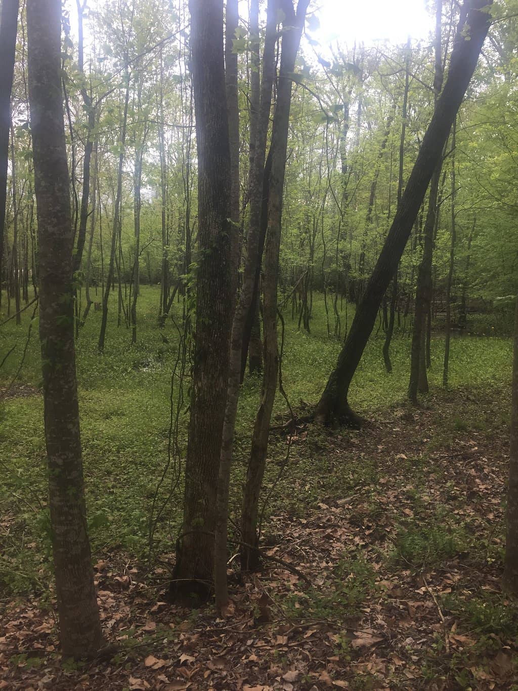 Fishing Opportunities