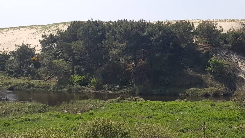 Pichelebe Bridge Trail