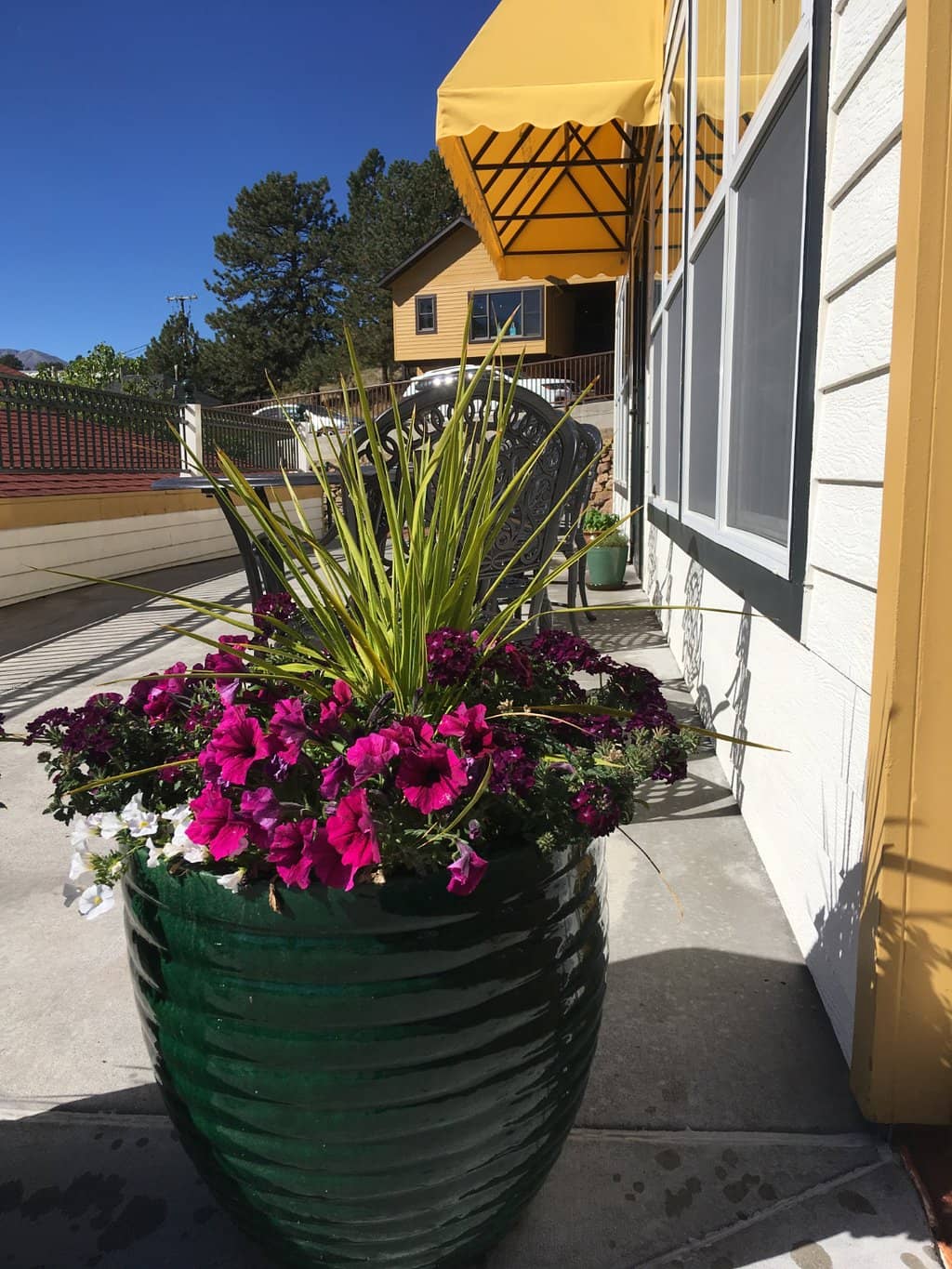 Warm and Inviting Atmosphere