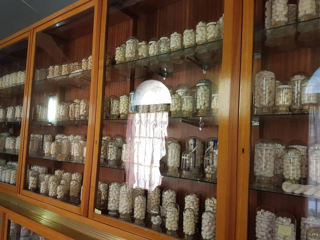 Living Insect Exhibits