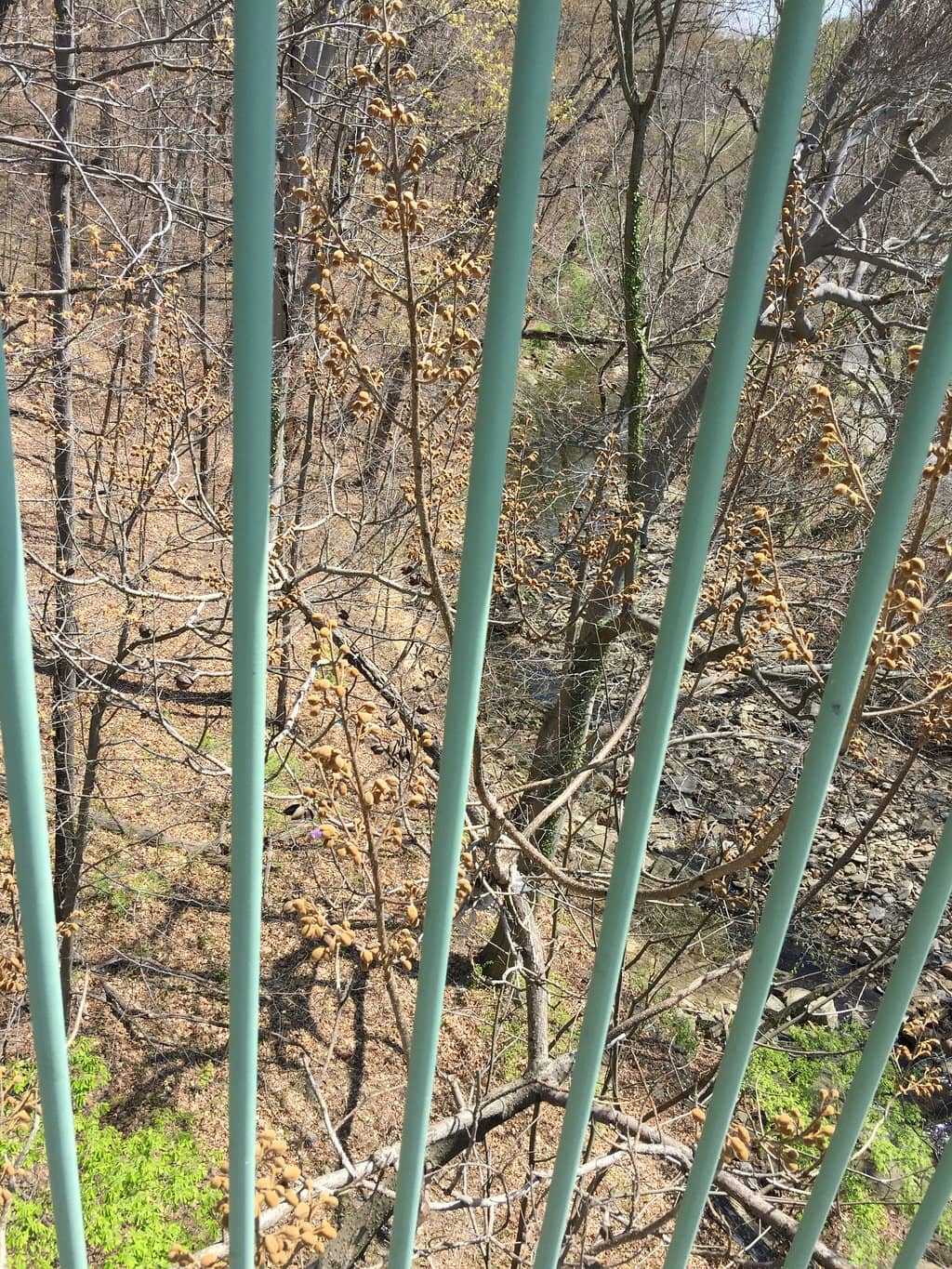 Nature Center and Planetarium