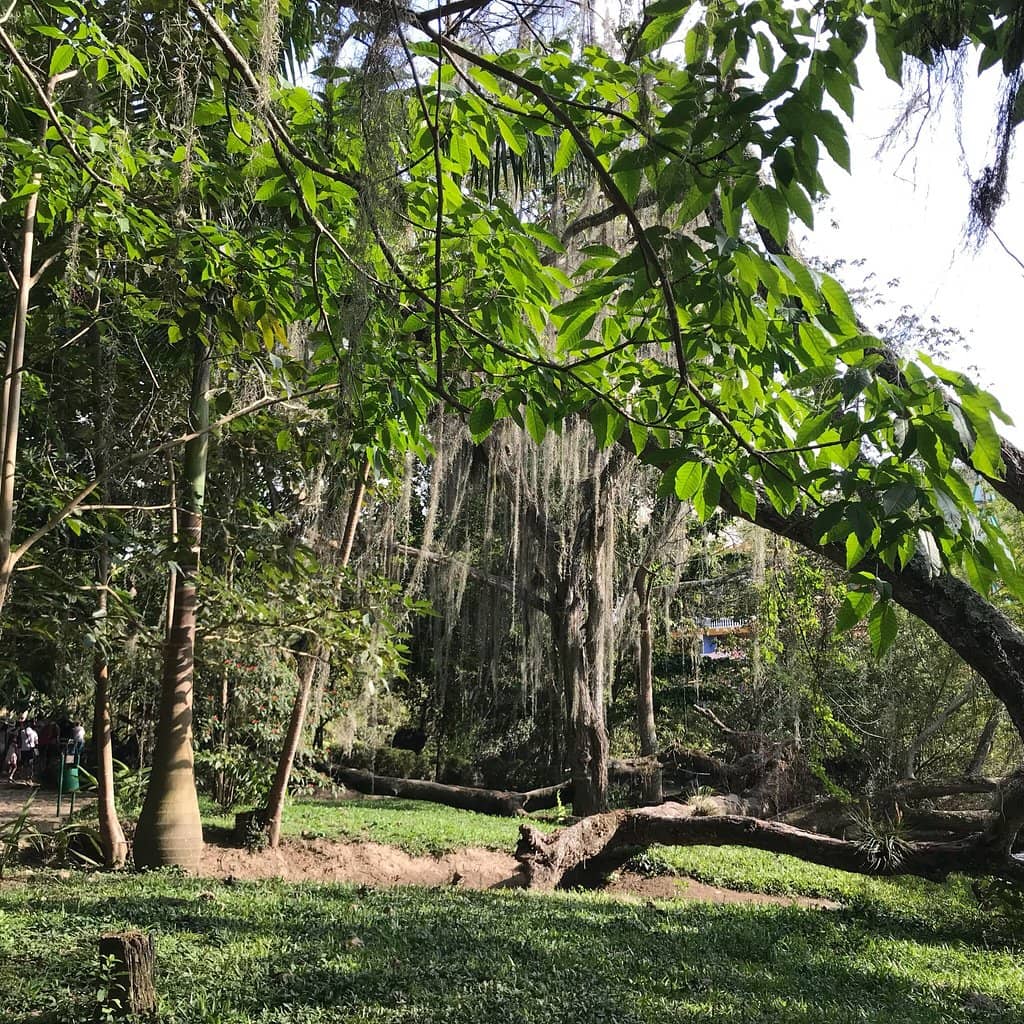 Fonce River Serenity