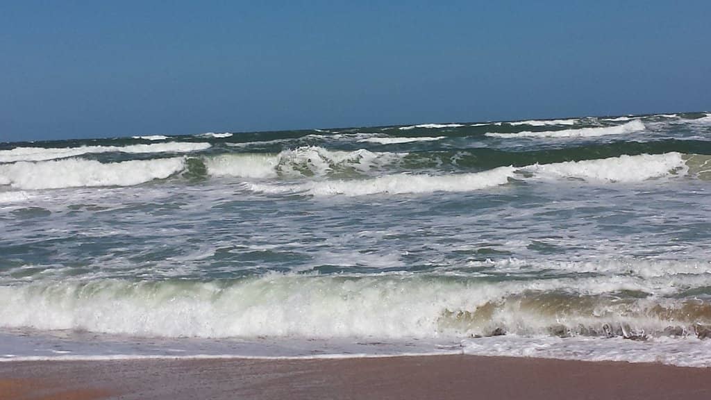 Guana River Wildlife Management Area