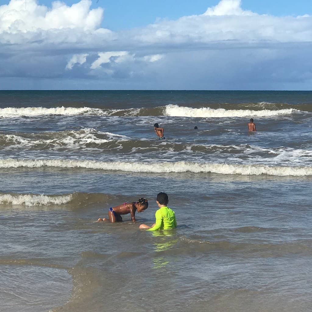 Expansive Sandy Shores