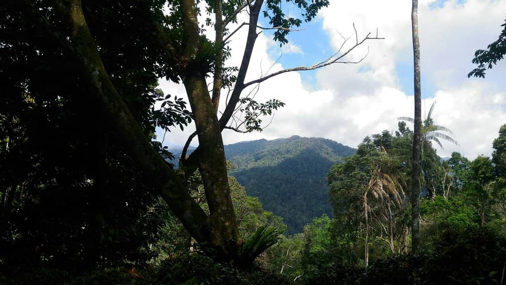 Kimono Rental Experience