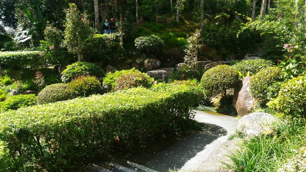 Traditional Teahouse