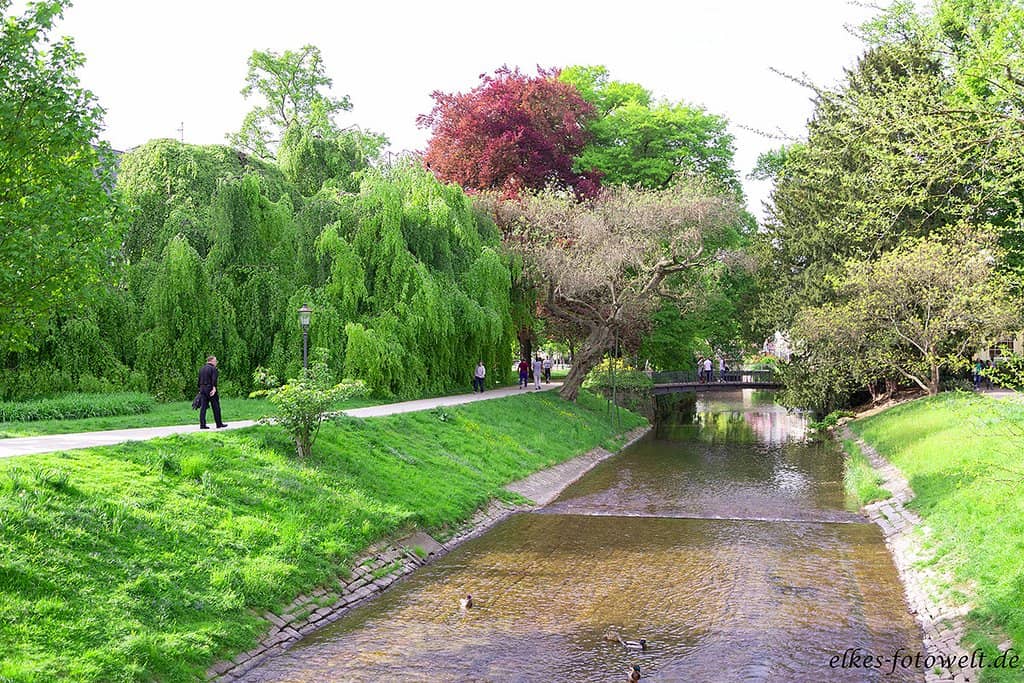 Oos River Promenade