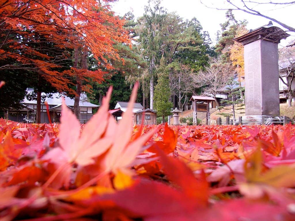 Wind Chimes & Purification