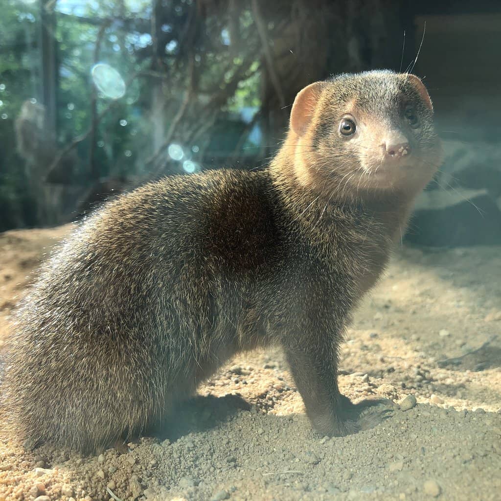 Reptile House Encounters