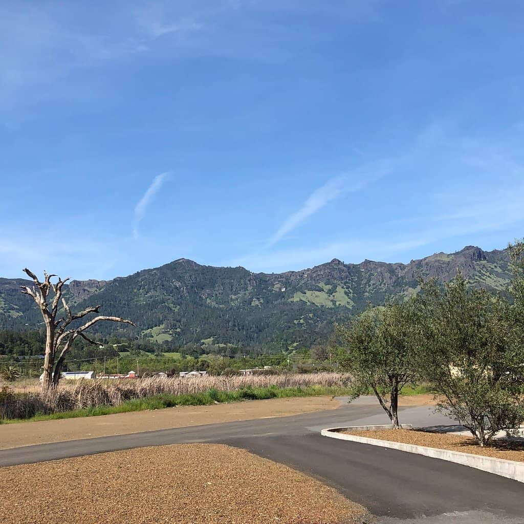 Exceptional Wine Blends