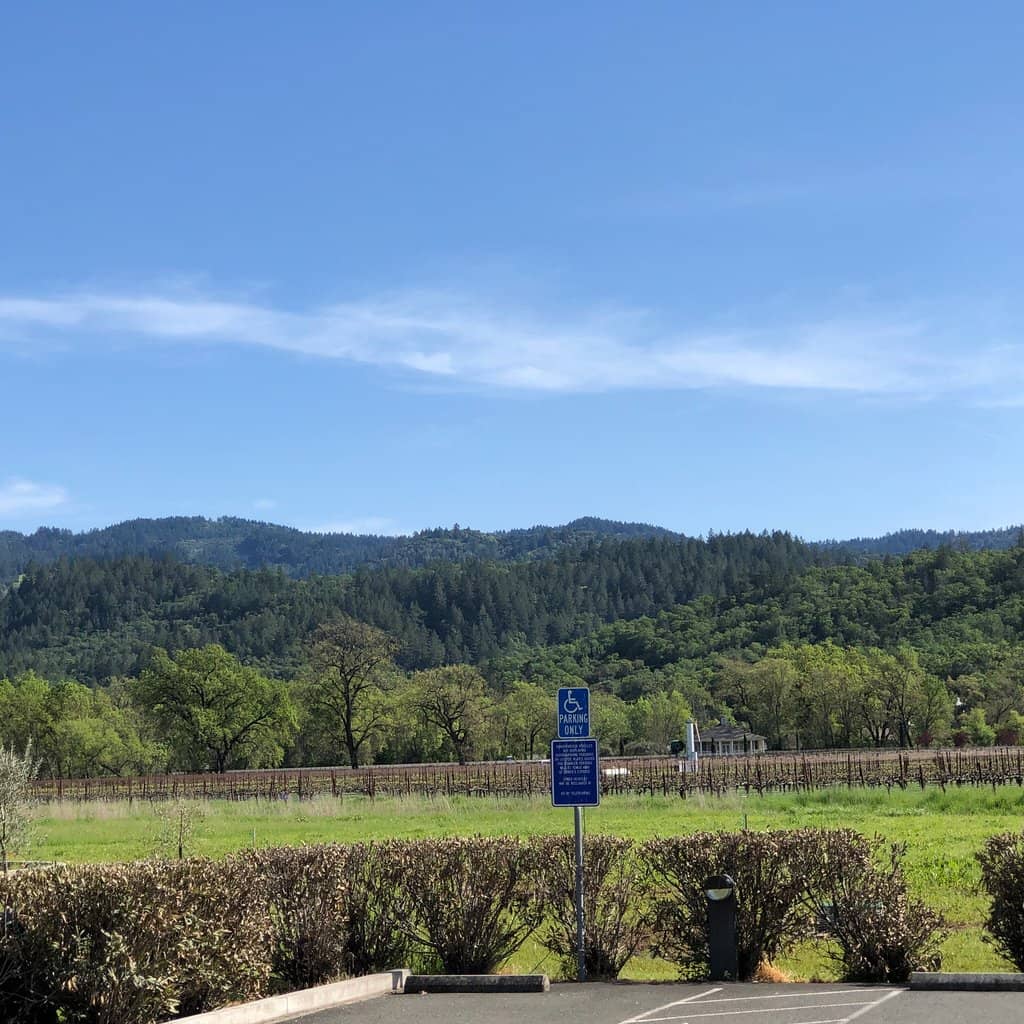 Stunning Vineyard Views