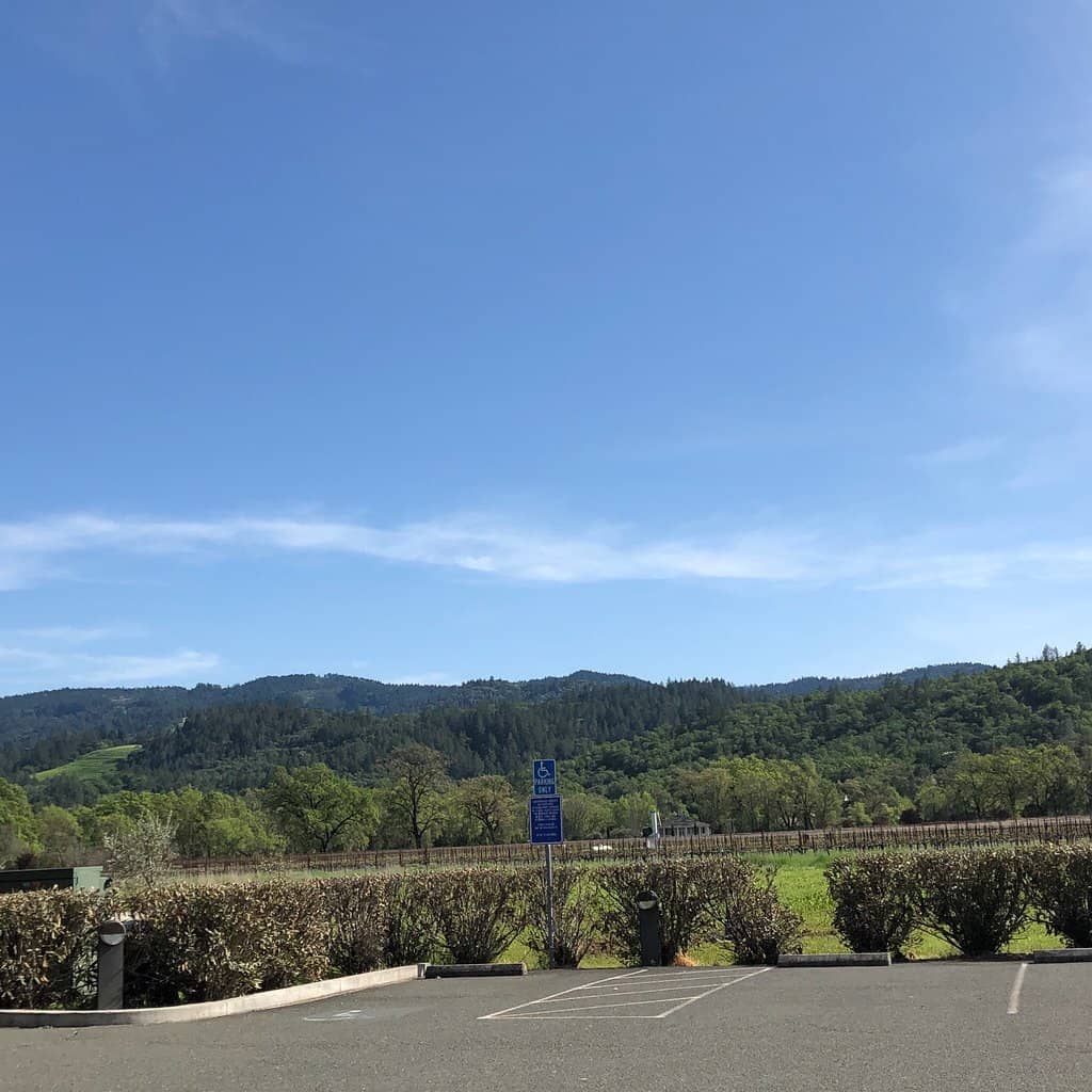 Dog-Friendly Atmosphere