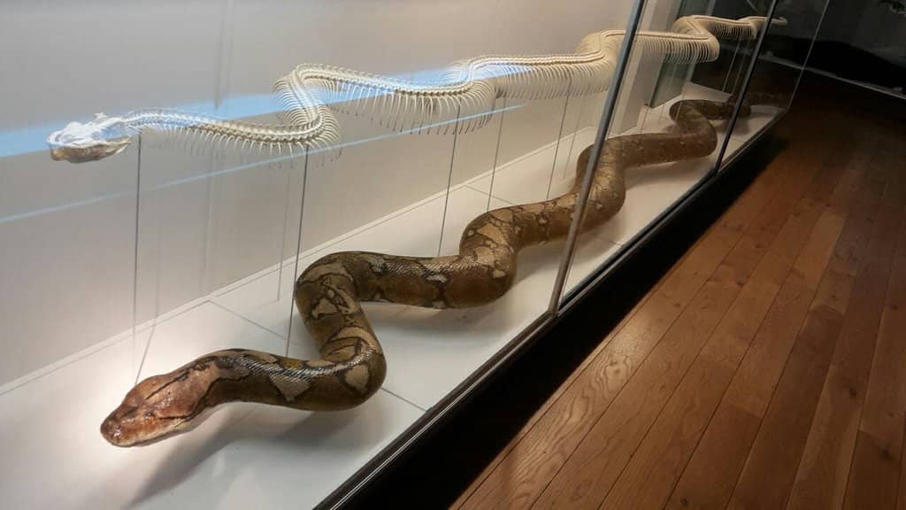 Diverse Animal Exhibits