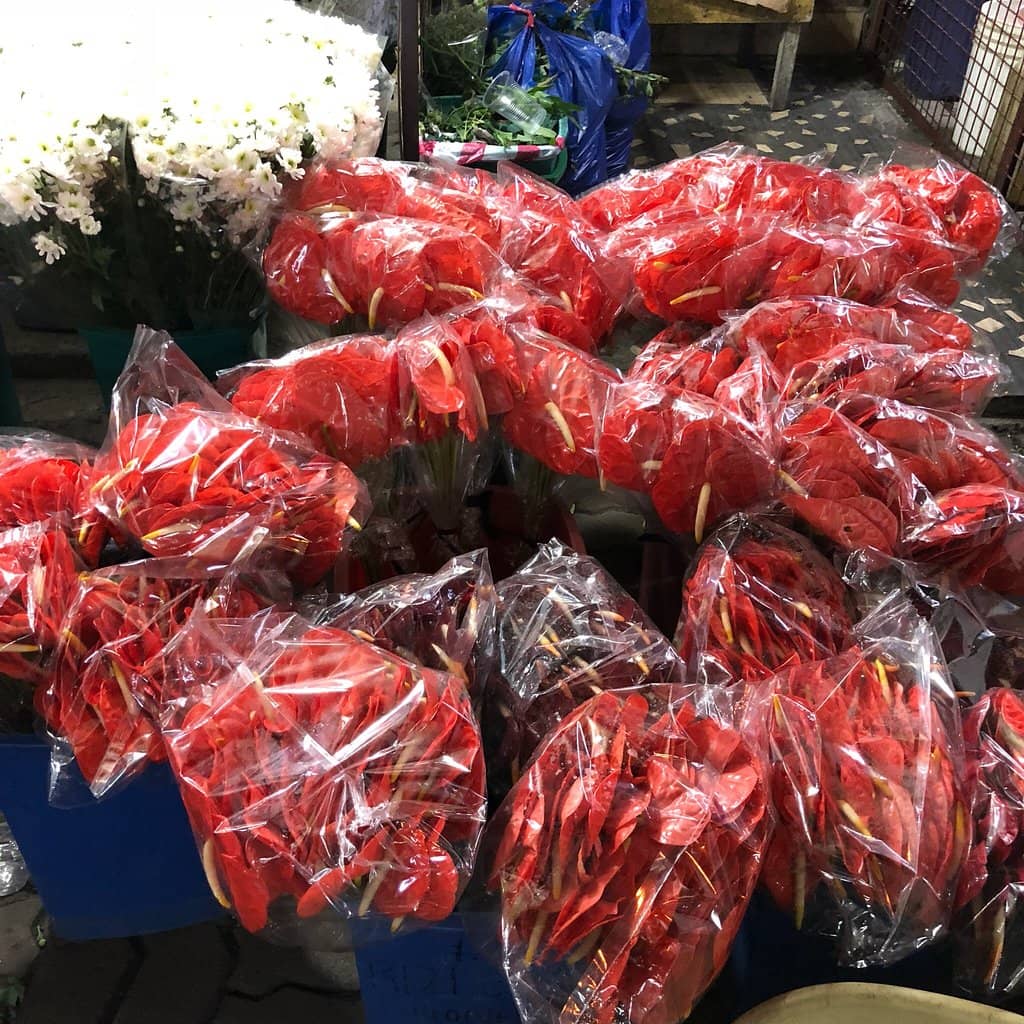 Vibrant Flower Stalls